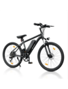 M10S  ELECTRIC BIKE