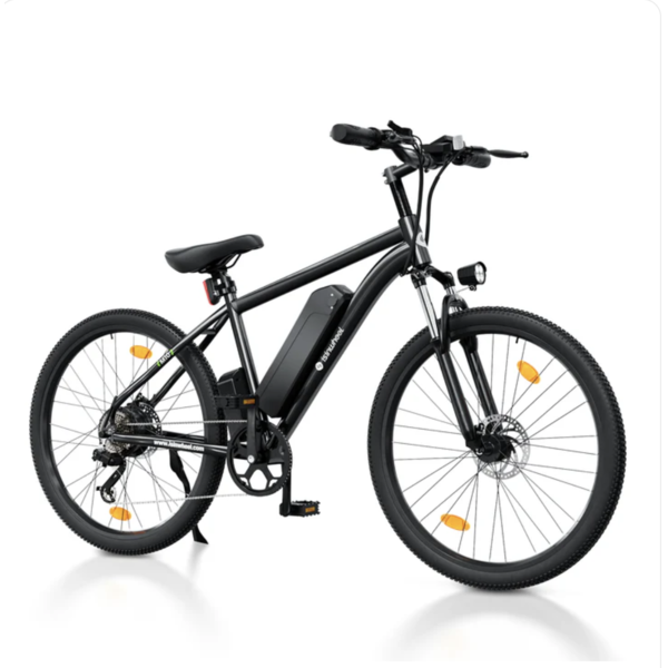 M10S  ELECTRIC BIKE
