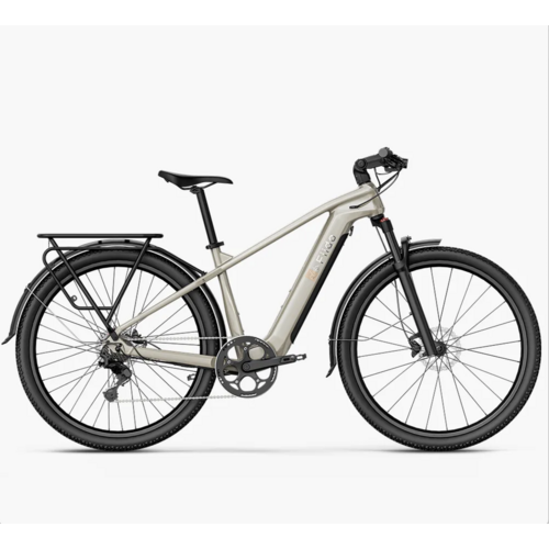 FIIDO NOMADS ELECTRIC CARGO BIKE 