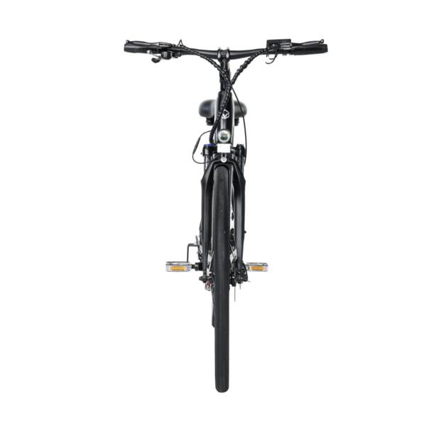 CITY 1 Step Thro Ebike