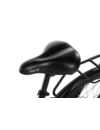 CITY 1 Step Thro Ebike