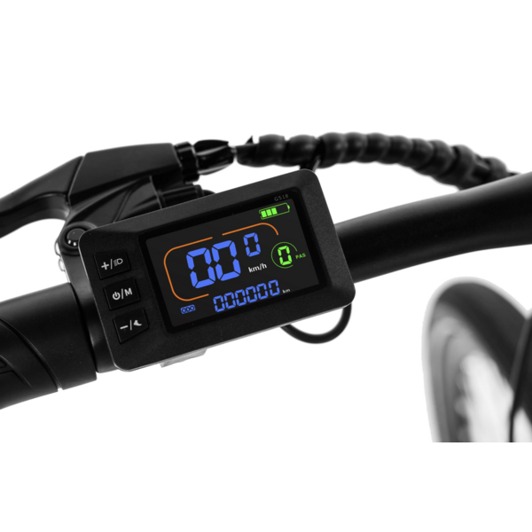 CITY 1 Step Thro Ebike