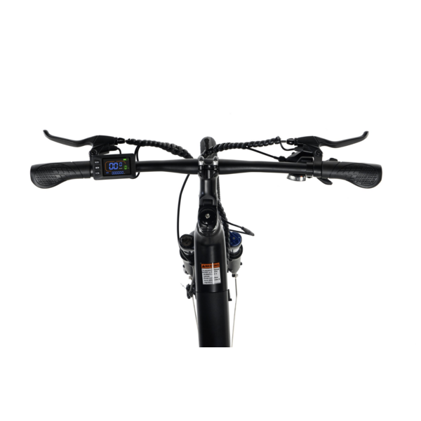CITY 1 Step Thro Ebike