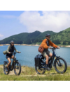 E26 3.0 PRO Electric bike