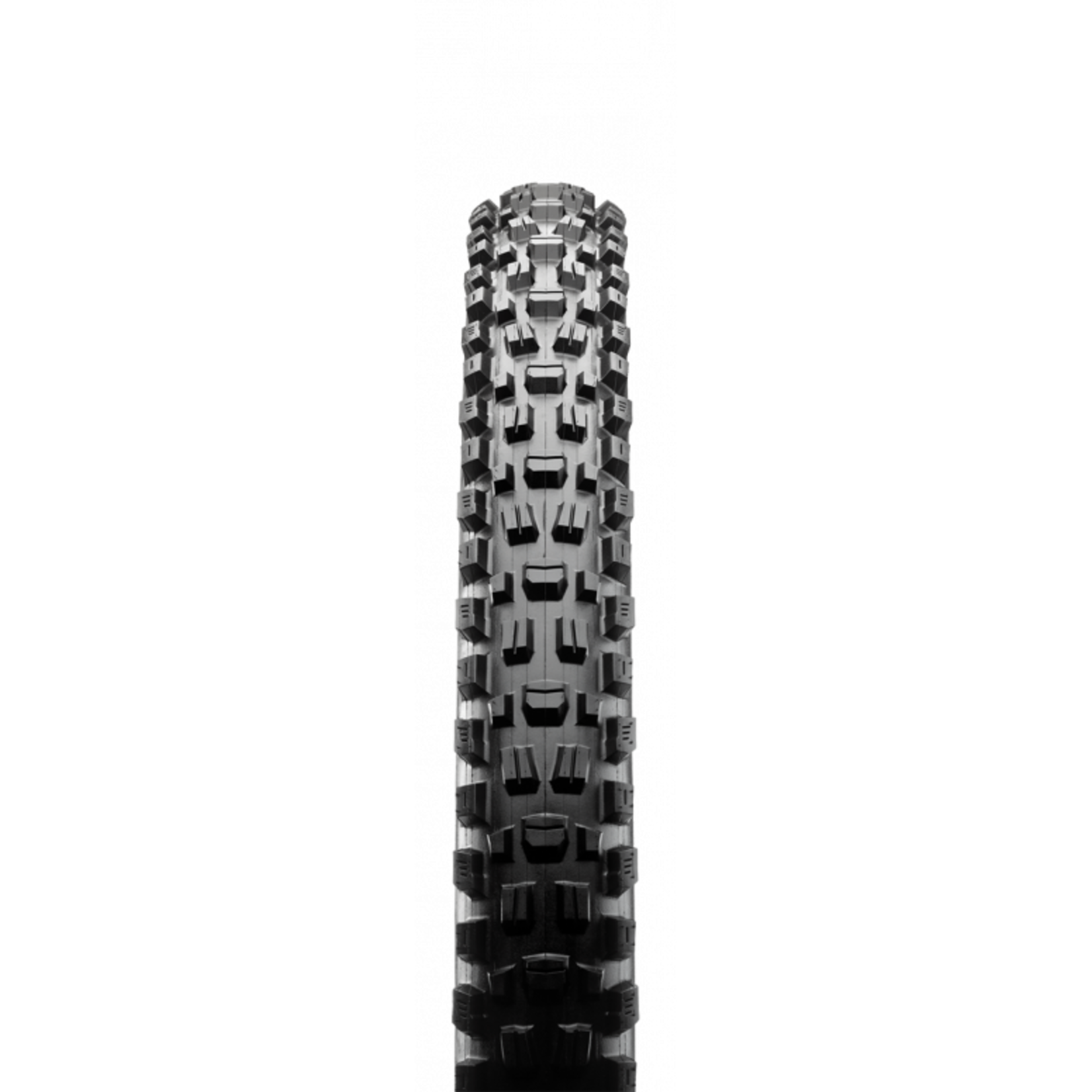 Maxxis Maxxis Assegai  Folding TR