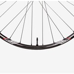 WE ARE ONE COMPOSITES - Strife Wheel Set. Rims 29 x 30mm DT Swiss 350