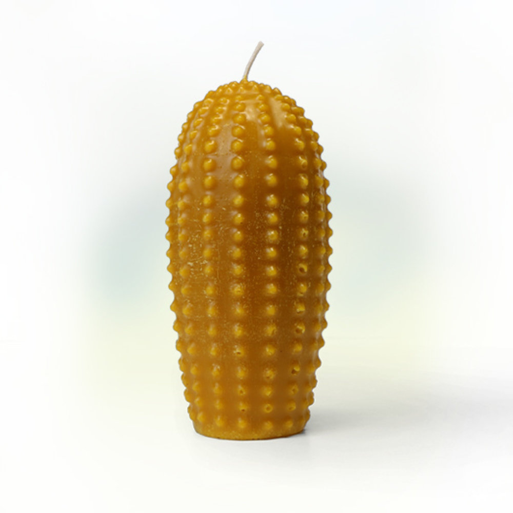 Zuivere bijenwaskaars cactus groot