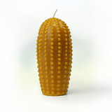 Zuivere bijenwaskaars cactus groot Zuivere bijenwaskaars cactus groot