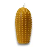Necti Zuivere bijenwaskaars cactus