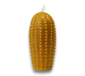 Zuivere bijenwaskaars cactus