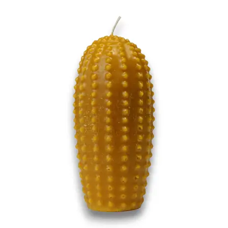 Necti Cactus van Zuivere Bijenwas | Handgemaakte Decoratieve Bijenwaskaars Necti Cactus van Zuivere Bijenwas | Handgemaakte Decoratieve Bijenwaskaars