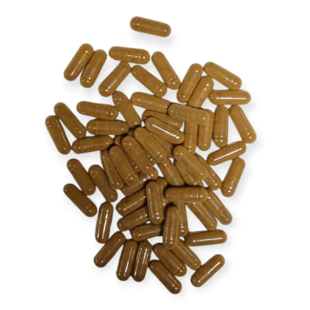 Propolis Capsules 60 stuks | 240 mg Propolis per Capsule