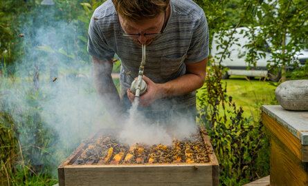 Van imker tot jouw honingpot