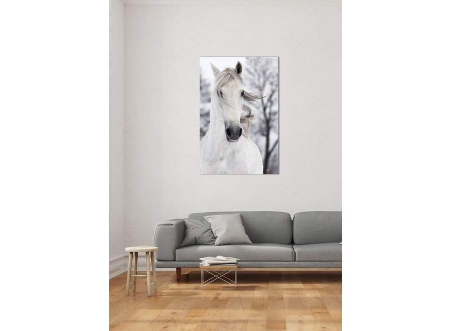 White Horse in the Wind Digitalprint 80x120cm Safety Glass