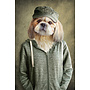 Lovely Dog in Jacket Digitalprint 80x120cm Acrylic Glass