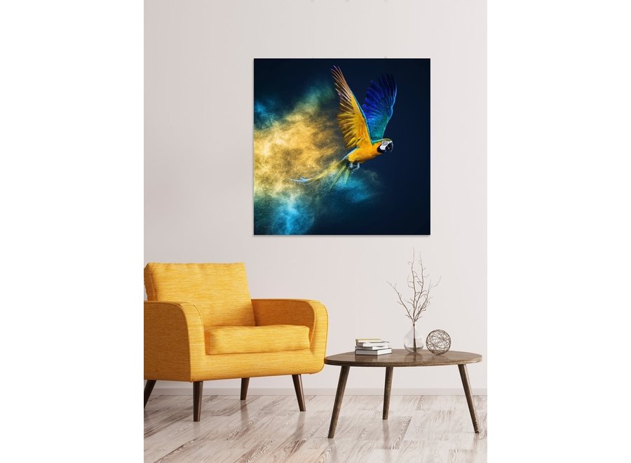 Flying Parrot Digitalprint 95x95cm Acrylic Glass