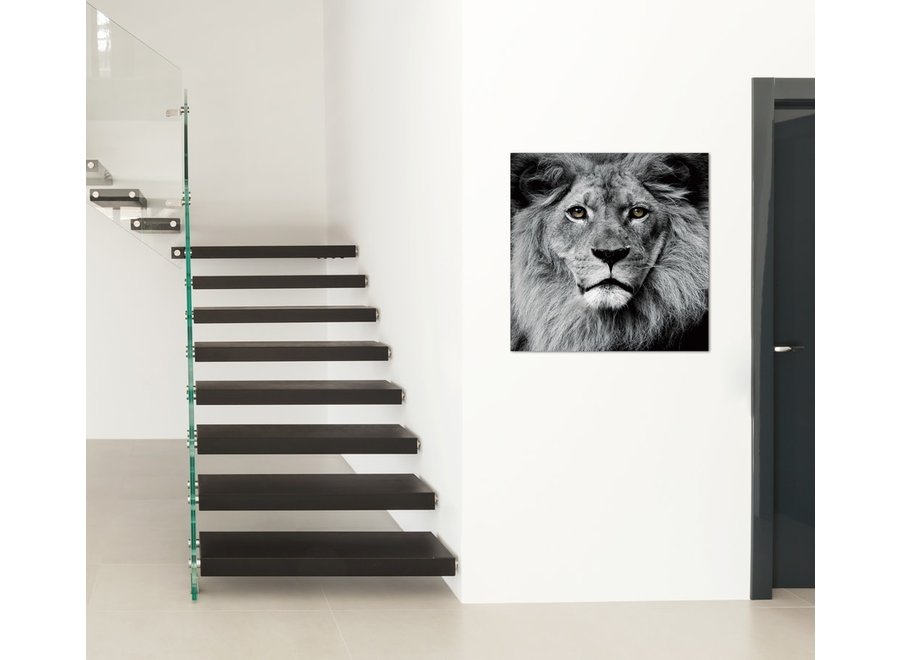 Le Roi Lion Noir Blanc Impression Numérique 80x80cm Verre De Sécurité