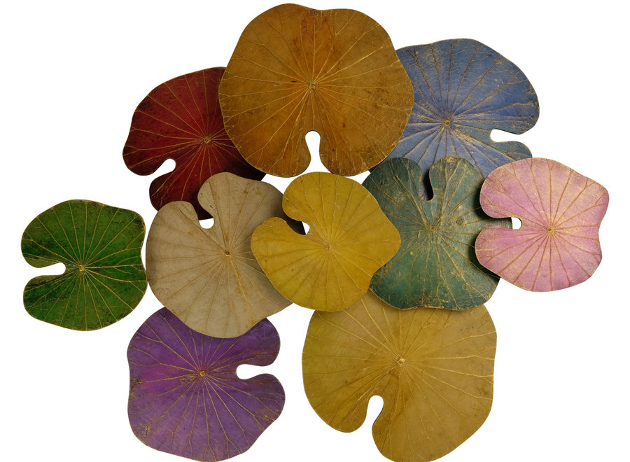 Pittura con Foglie di Loto Sostenibile Wall Art 3D multicolore