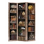 Room Divider Privacy Screen 3 Panels W120xH180cm Bookshelf