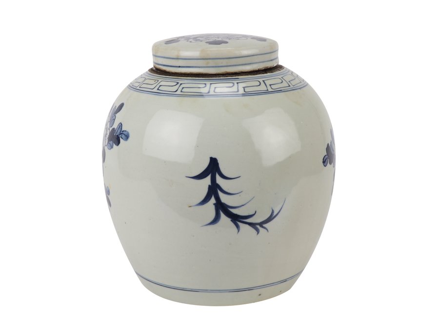 Chinese Ginger Jar Blue White Porcelain Handpainted Birds D30xH30cm