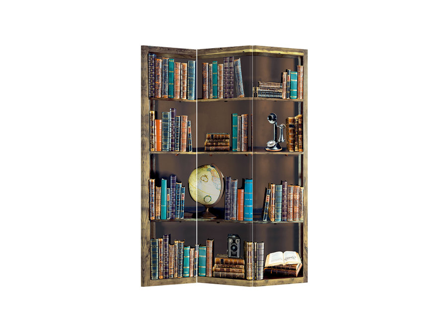 Paravent Interieur L120xH180cm 3 Panneaux Bibliothèque