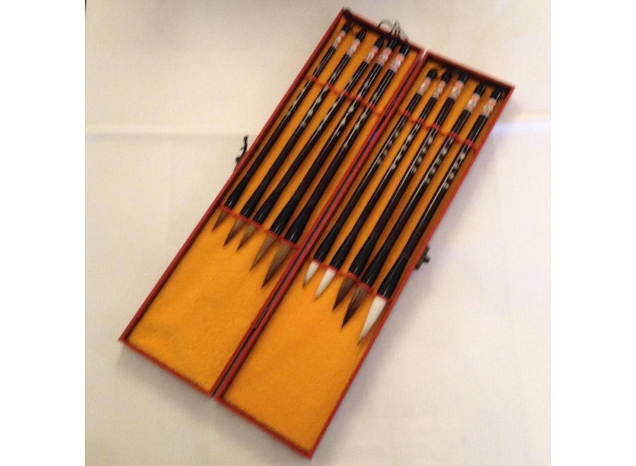 Fine Asianliving Chinese Calligraphy Brushes Set/10 Luxurious Giftbox