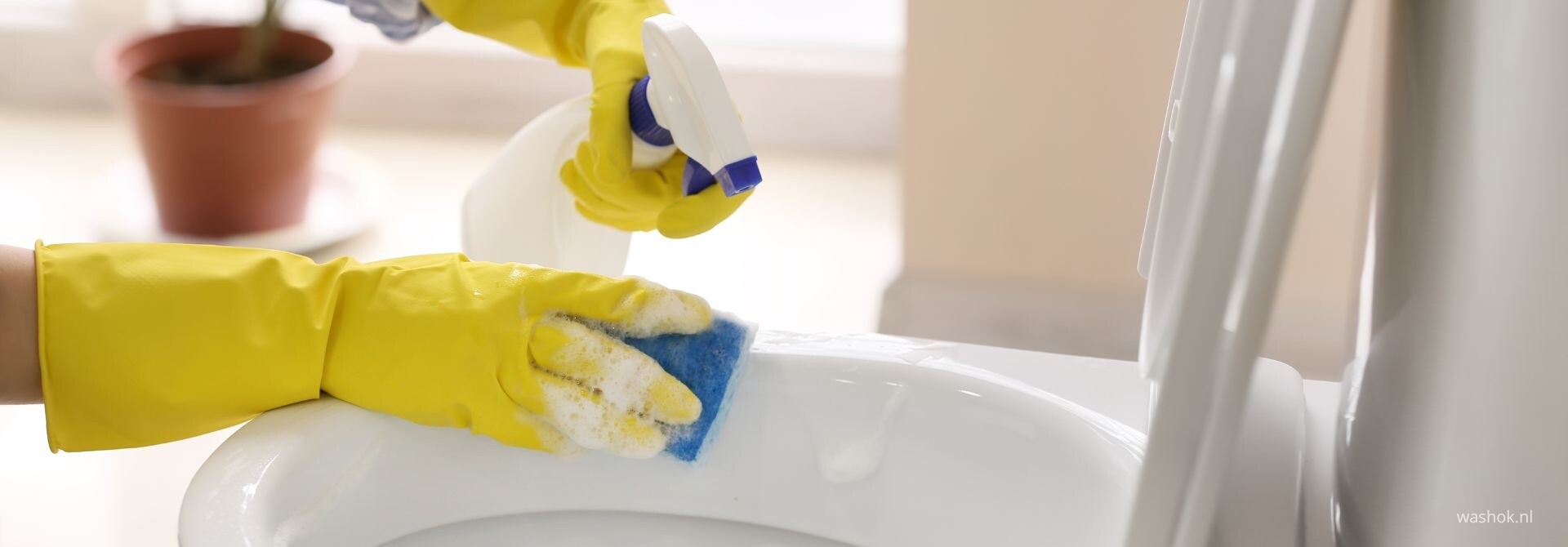 WC schoonmaken en urinesteen verwijderen? 7 stappen naar een schone wc pot