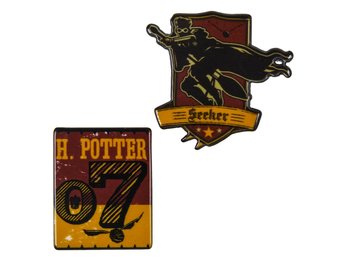 Broche: Harry Potter