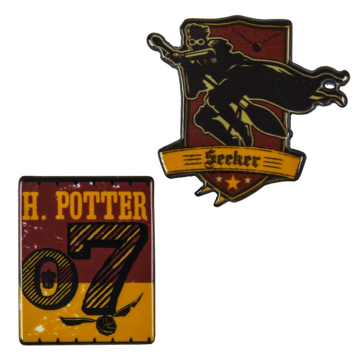 Trouwens Graveren openbaar Broche: Harry Potter - Magical Gifts