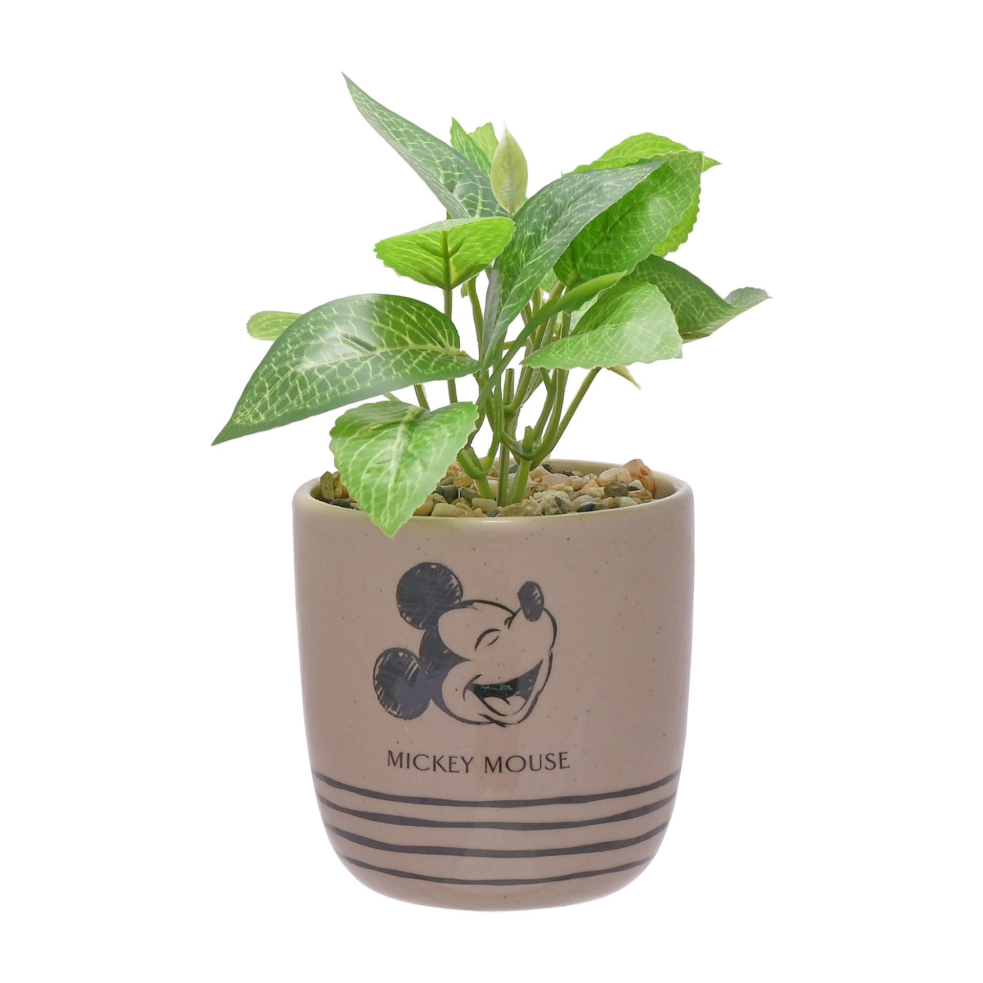 radioactiviteit patroon specificatie Planten pot met plant: Mickey Mouse - Magical Gifts