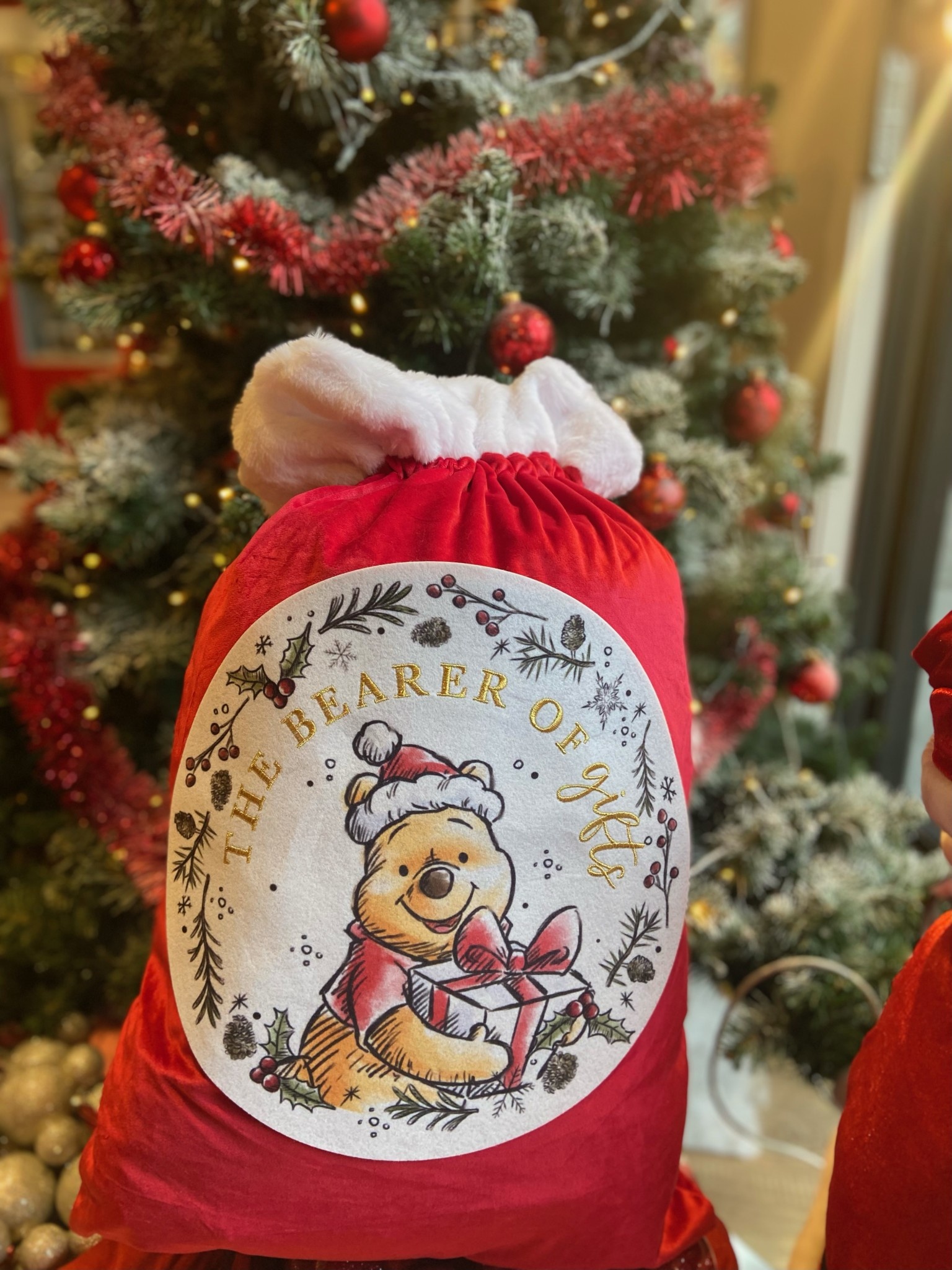 Magical Mystery Kerstzak - Christmas