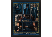 3D Poster ingelijst: Fantastic Beasts - And The Secrets Of Dumbledore Characters
