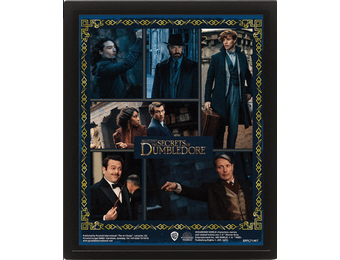 3D Poster ingelijst: Fantastic Beasts - And The Secrets Of Dumbledore Characters