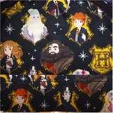 Backpack: Harry Potter - Spring