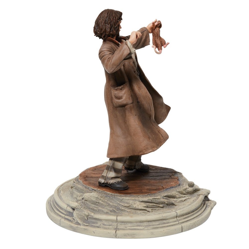 Figurine: Sirus Black Prisoner Vers