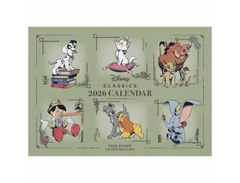 Planner:  A4 Familieplanner Disney 2026
