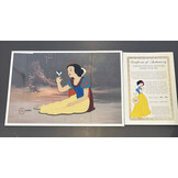 Sericell: Smile for Me