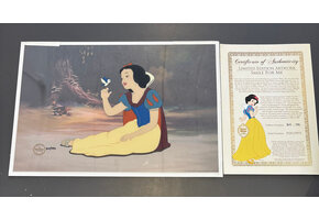 Sericell: Smile for Me