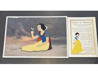 Sericell: Smile for Me