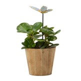 Plantsteker: Plant Stake Butterfly Figurine by Heartwood Creek