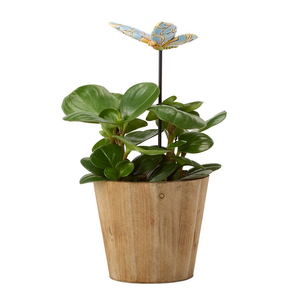 Plantsteker: Plant Stake Butterfly Figurine by Heartwood Creek