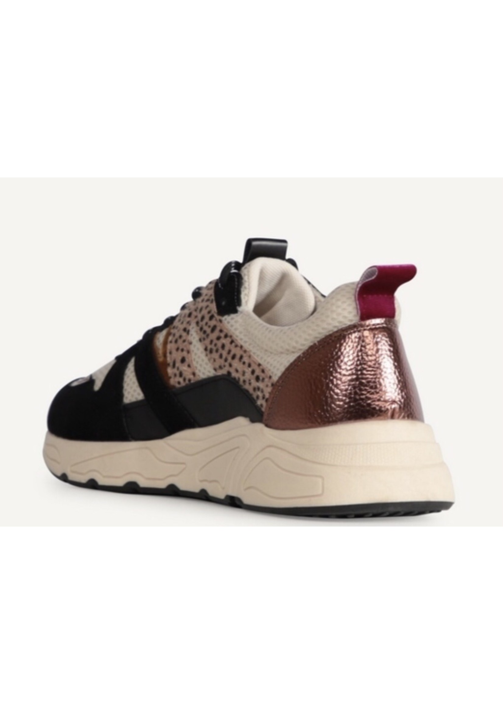 poelman sneaker