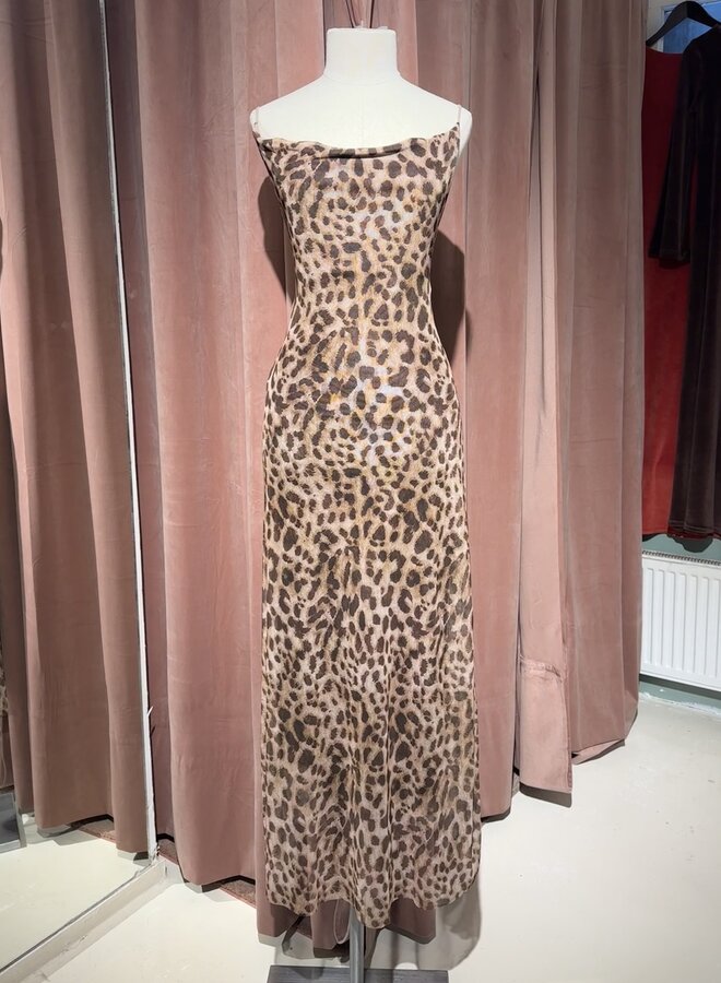 Robe Leopard