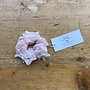 Scrunchie - Ballerina - Rose