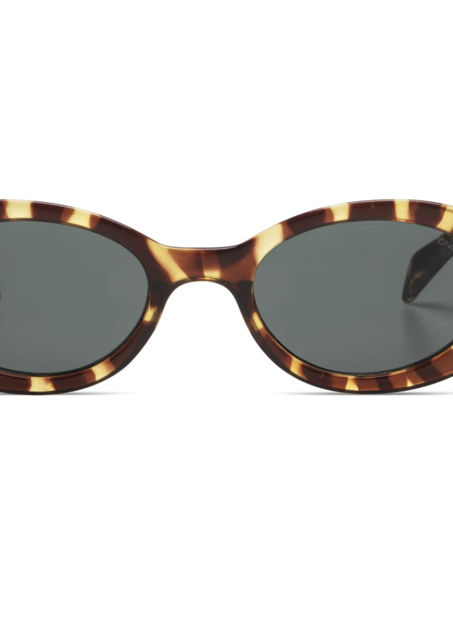 Komono - The Ana - Tortoise