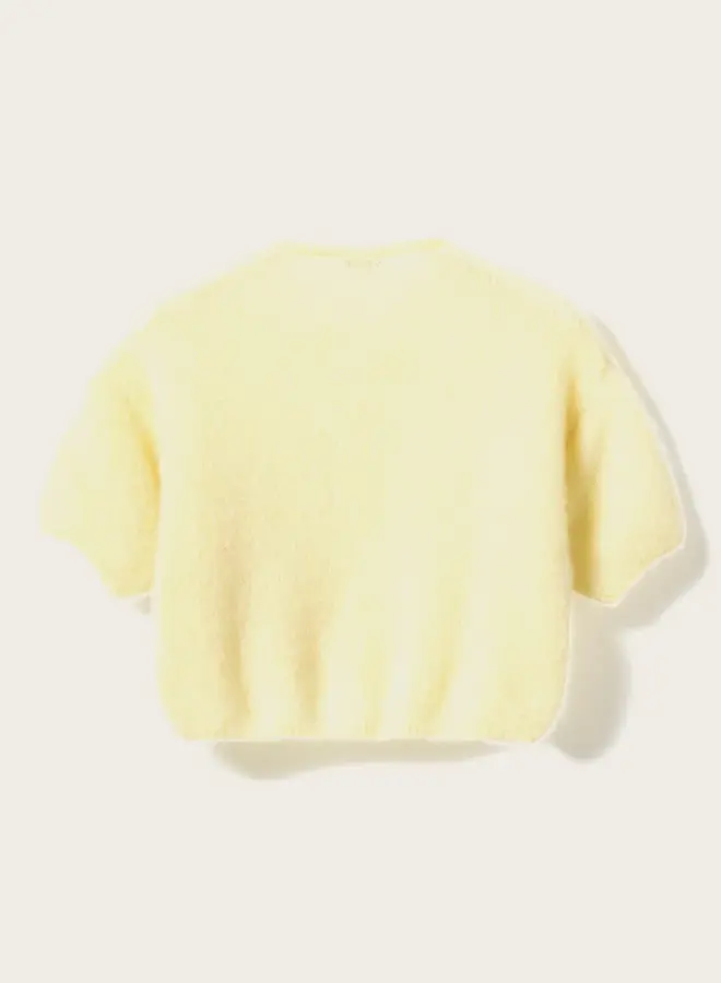 Noella - Lorell Knit Cardigan - Light Yellow