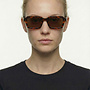 ECO Sunglasses - Holme Havana  - Brown