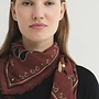 Nice Things - "Poodles Print" Bandana - Chestnut