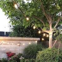 Varm-vit glödtråds LED lampa, dimbar - 3 watt