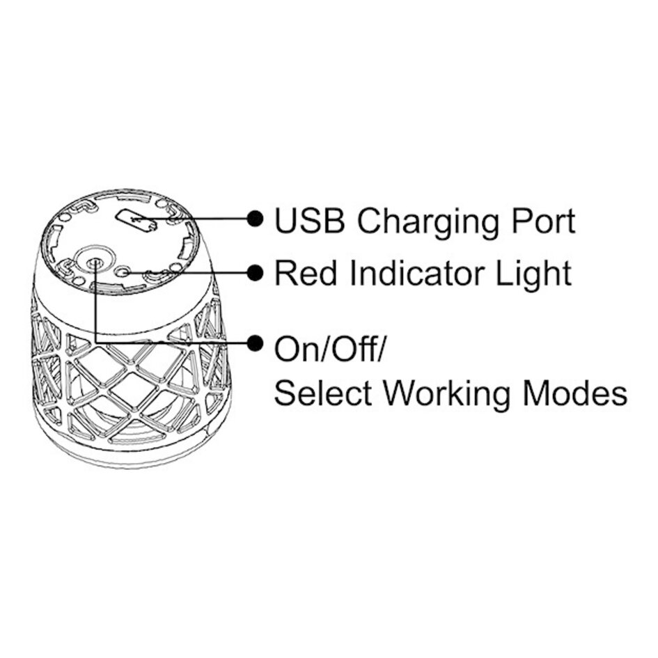 Soldriven lampa Fackla 2W med eld-effekt